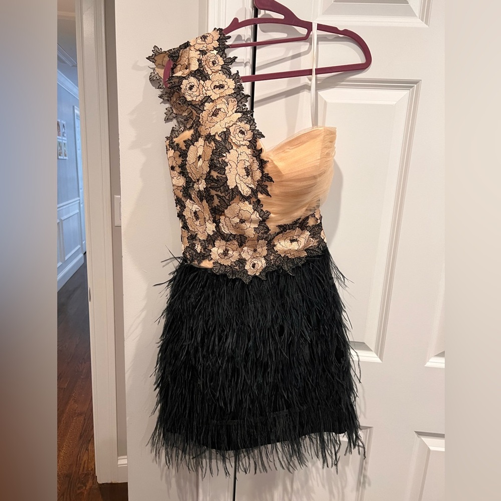 Beautiful stylish pink and black feathered dress. Similar 2 worn by Blake Lively